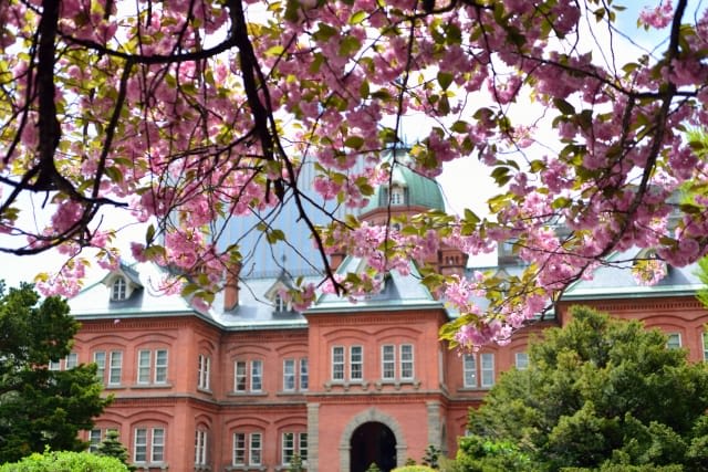 the Hokkaido Prefectural Government Red Brick Building (former main building)