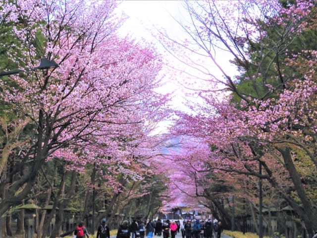 Hokkaido Jingu