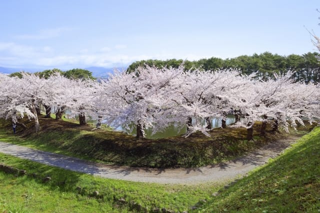 Goryokaku Park