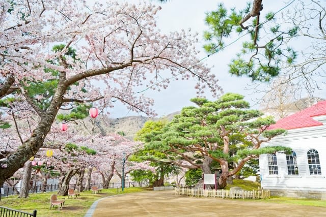 Hakodate Park