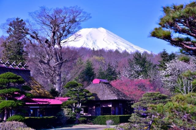 Seasonal Landscapes Showing Different Expressions