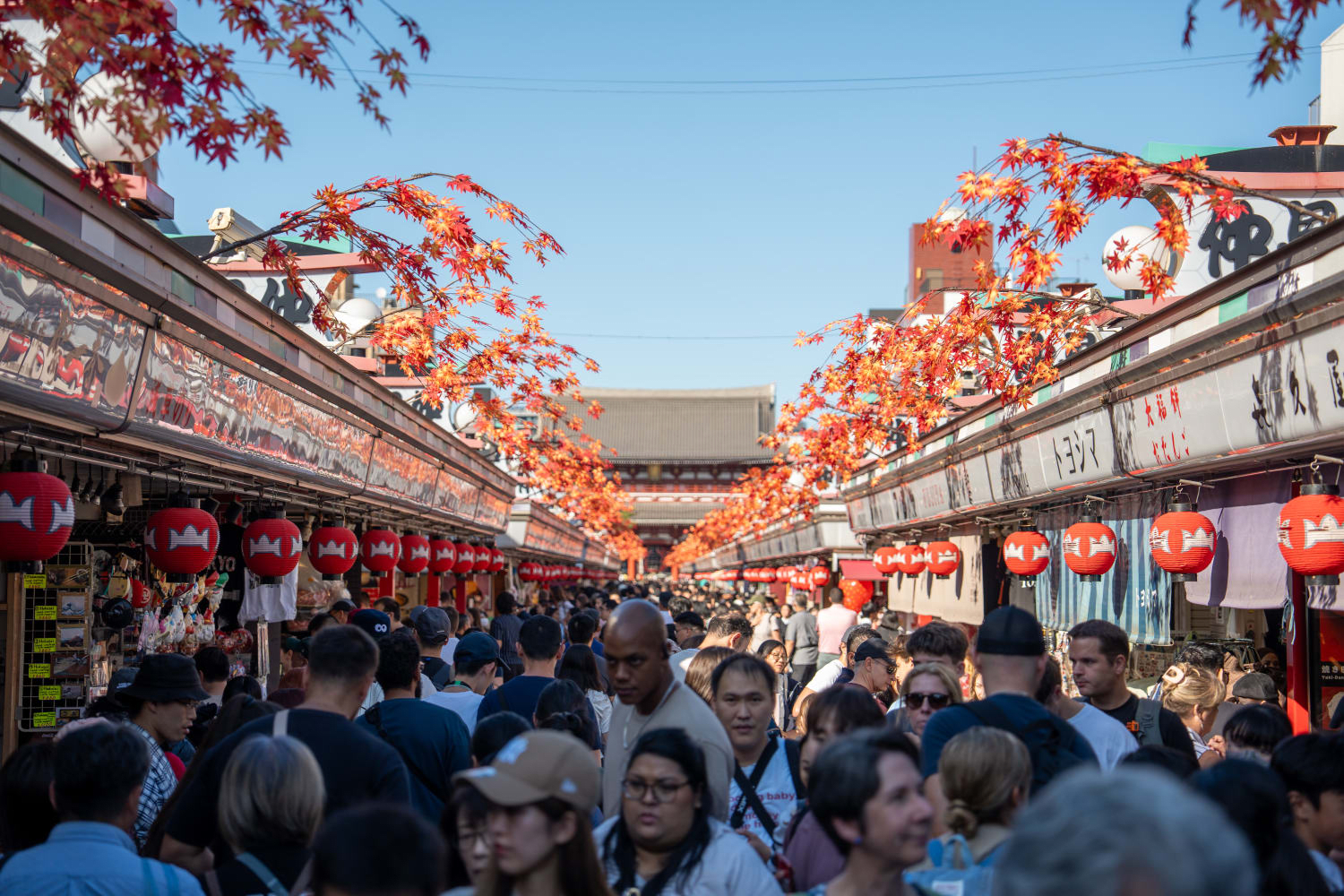 Sightseeing in Asakusa, Shibuya, Shinjuku, Harajuku, etc. Takes More Energy and Time Than Expected