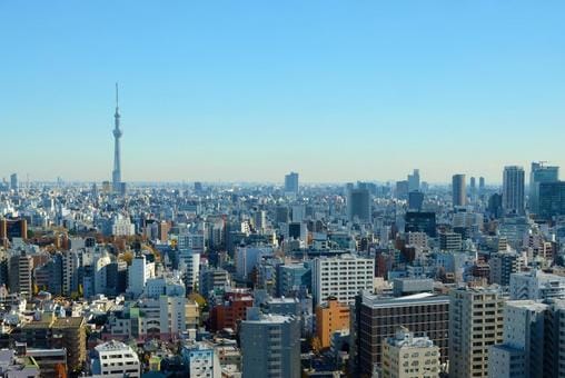 Sky Tree View