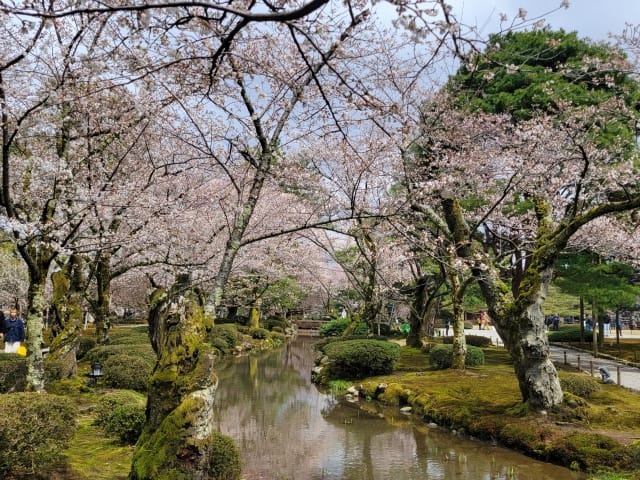 Spring at Kenroku-en