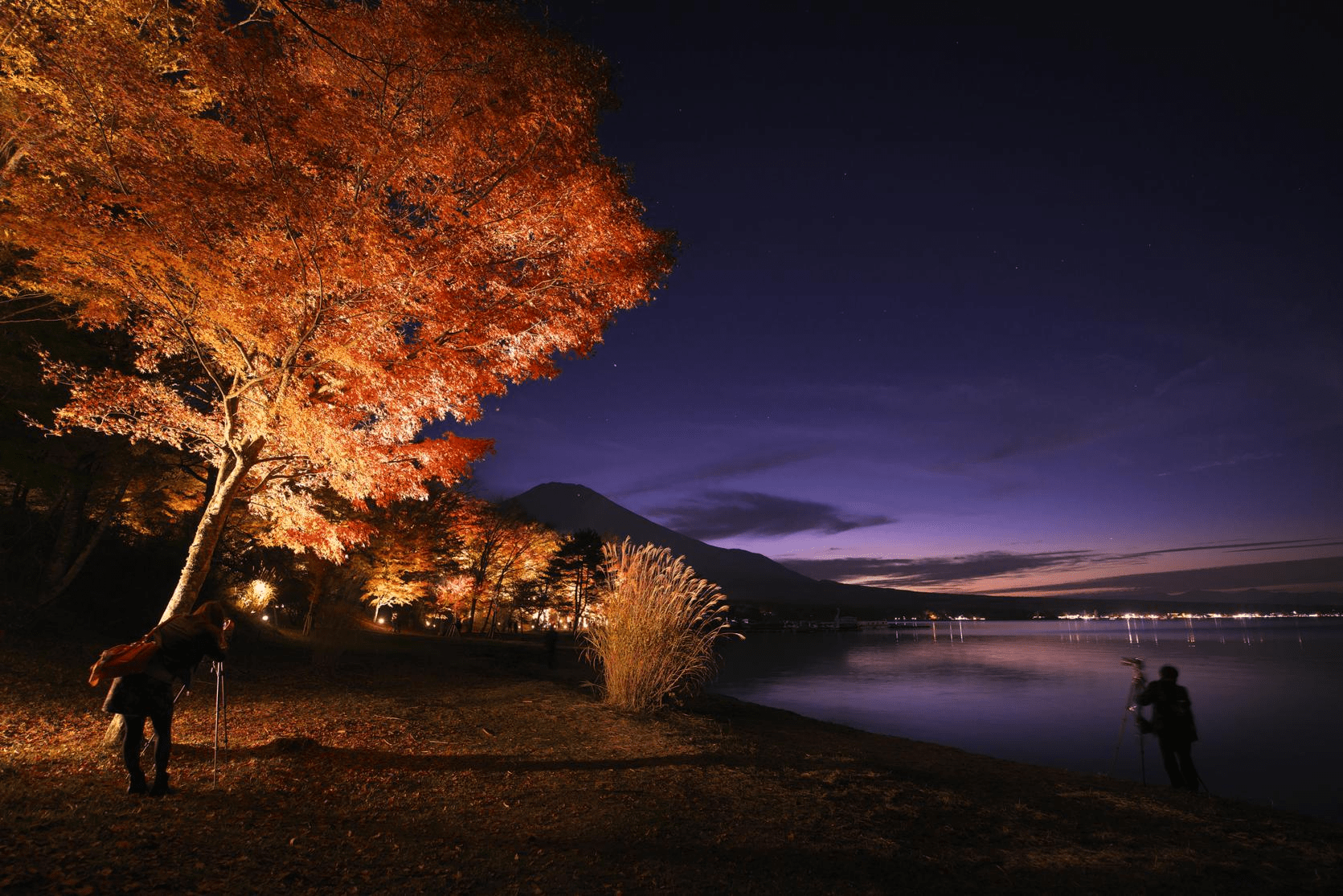 Sunset Shore Autumn Leaves Festival