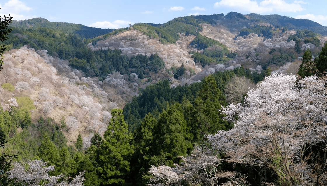 Takagiyama Observatory