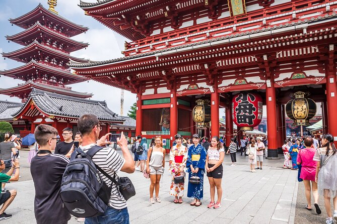 Tokyo Customizable Private Tour by Car English speaking chauffeur
