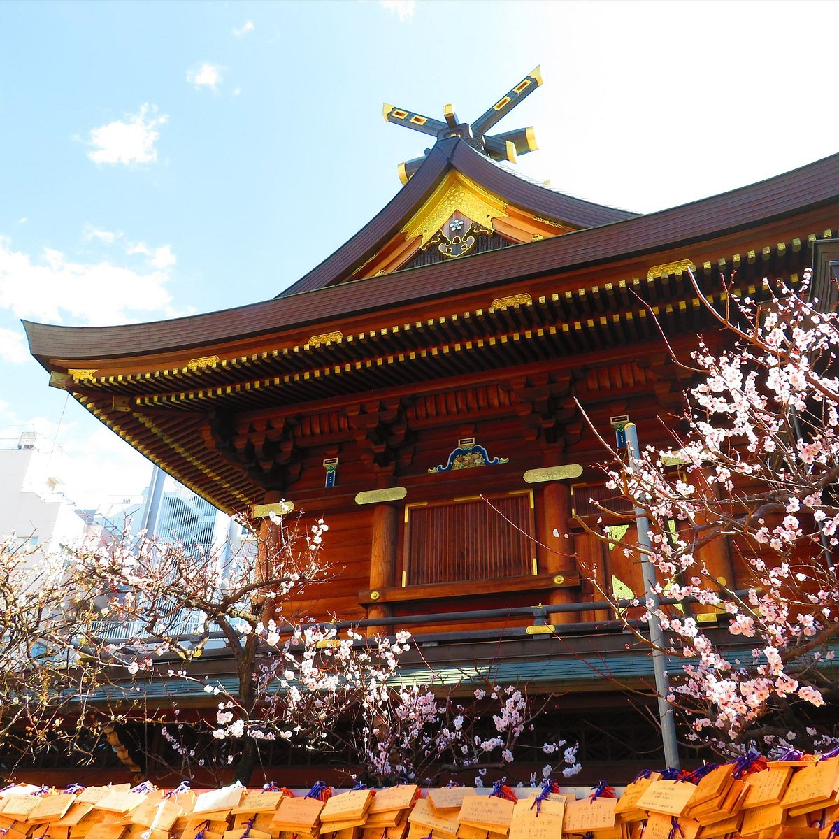 Yushima Tenjin Plum Blossom Festival