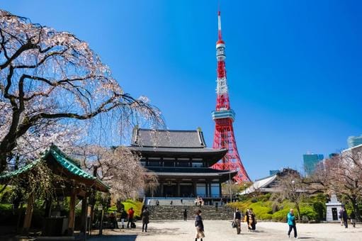 Tokyo Tower And Sakura