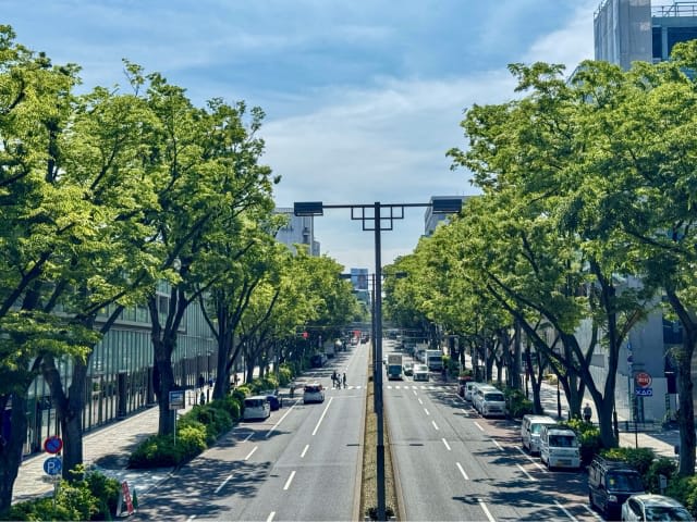 Omotesando & Aoyama: A Sophisticated Shopping District Popular with Adult Women