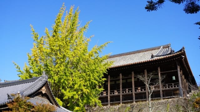 Toyokuni Shrine