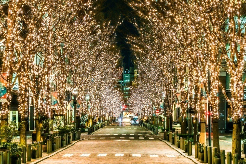 Marunouchi Street Park 2025