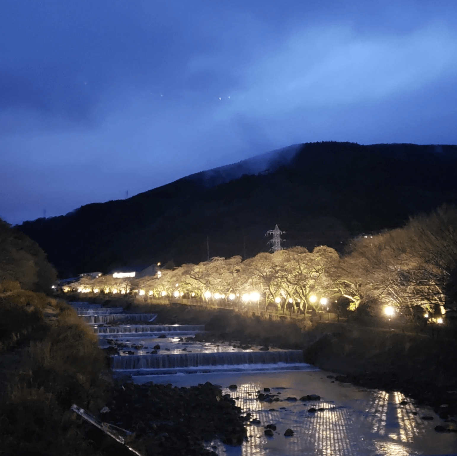 Miyagino Sakura Festival
