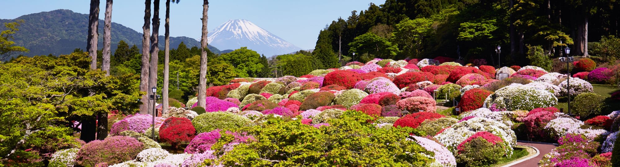 Yamano Hotel Garden