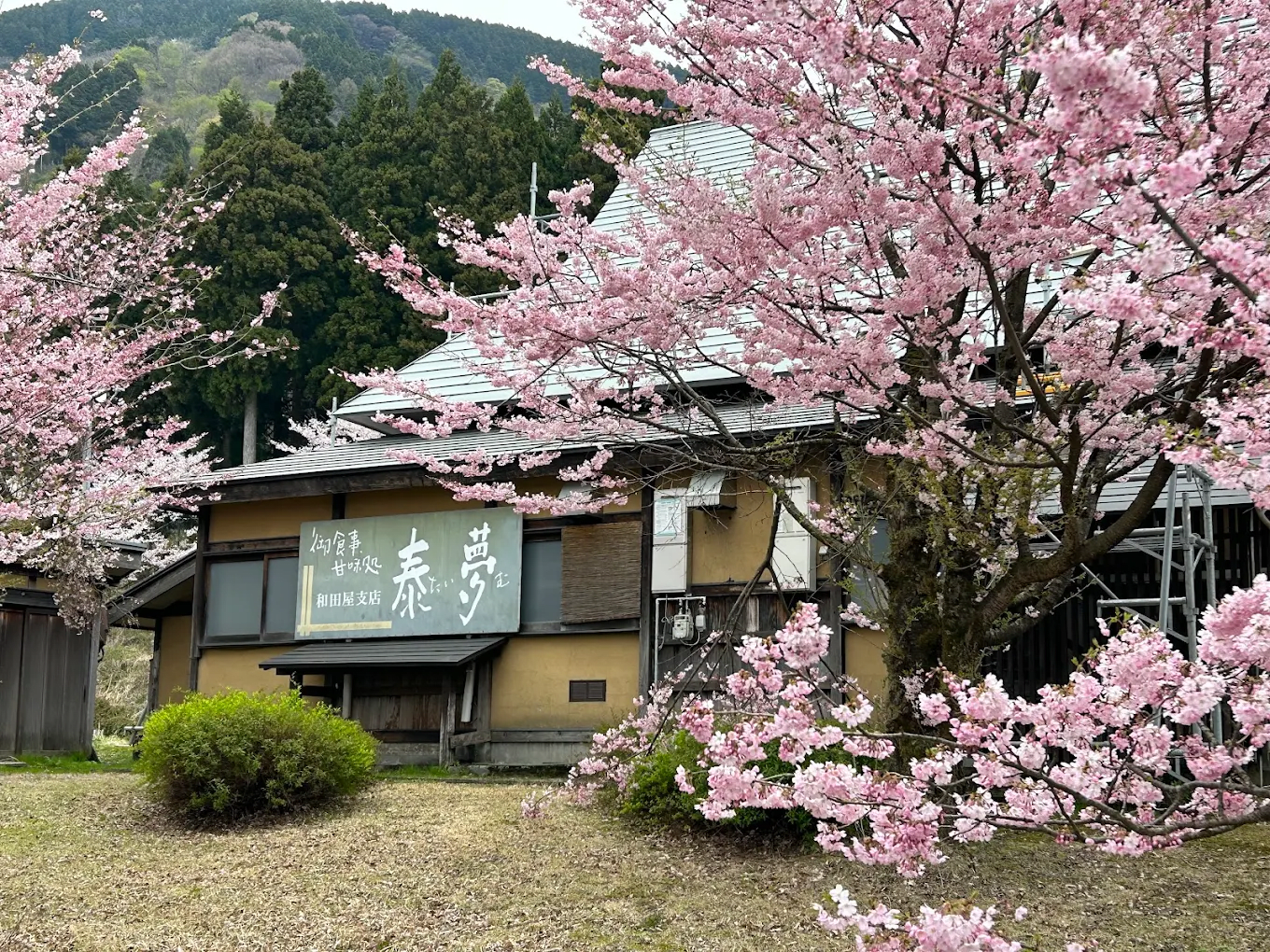 Shishiku Highland