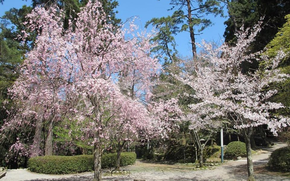 Kakusenkei Gorges