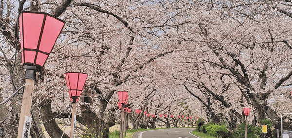 Ohinomiya Park