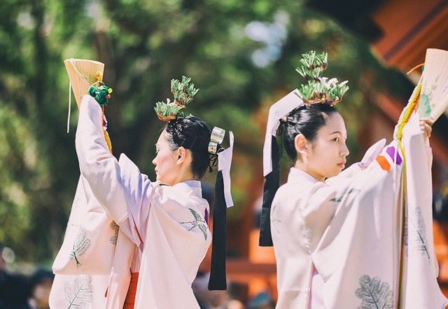 Matsunae Shinji (Pine Seedling Ritual)