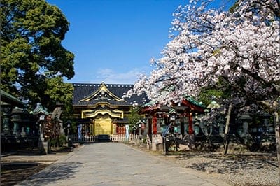 Ueno Tosho-gu Shrine