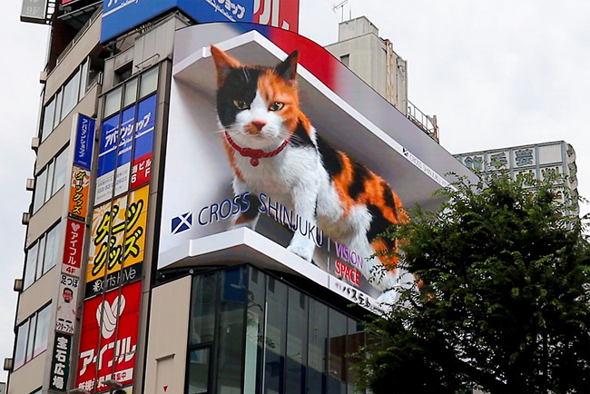 Be Healed by the Cuteness of the "3D Cat" Displayed on Cross Shinjuku Vision