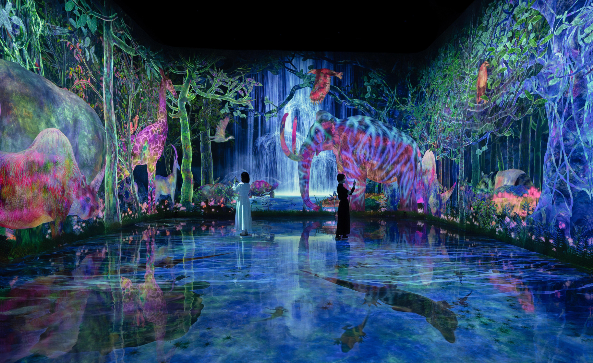 teamLab Planets TOKYO DMM