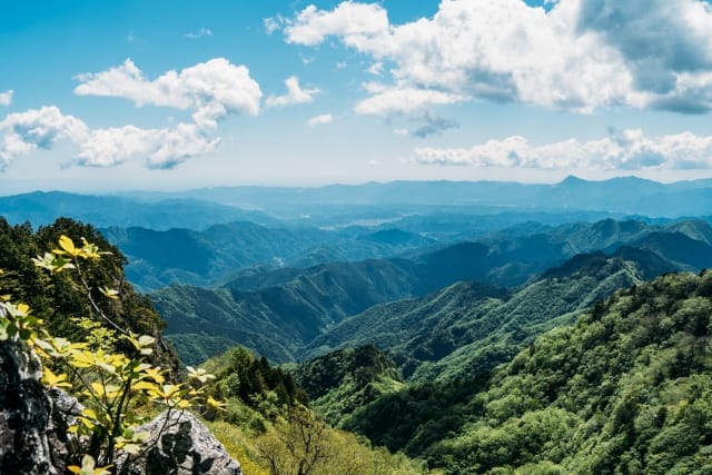 tokyohiking14.jpg