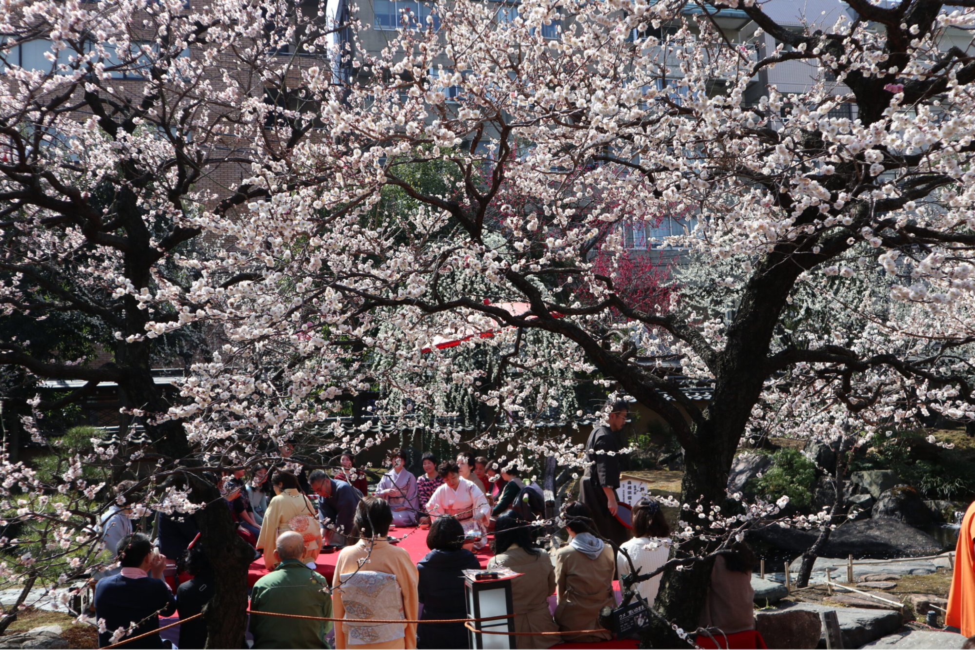 Yushima Tenmangu Shrine