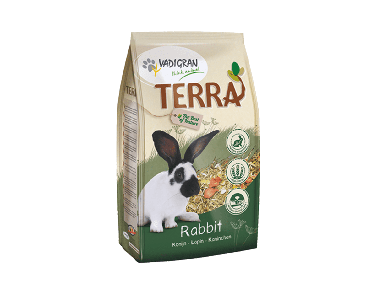 TERRA Kaninchen 