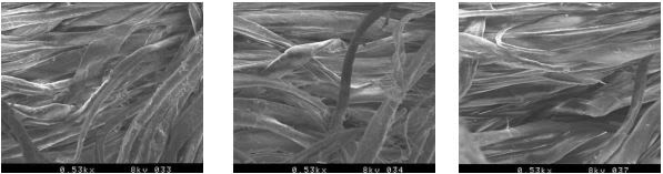 SEM of jeans leg seam washed with detergent and fabric softener with Coltide HSi after 20 wash cycles
