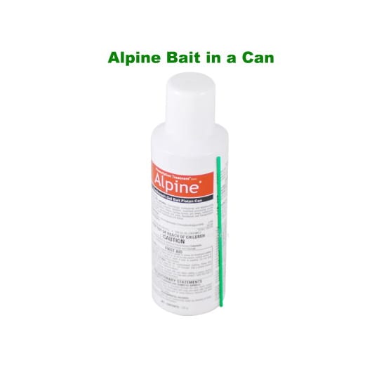 Alpine Cockroach Gel Bait Piston Can