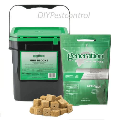 Generation Mini Blocks