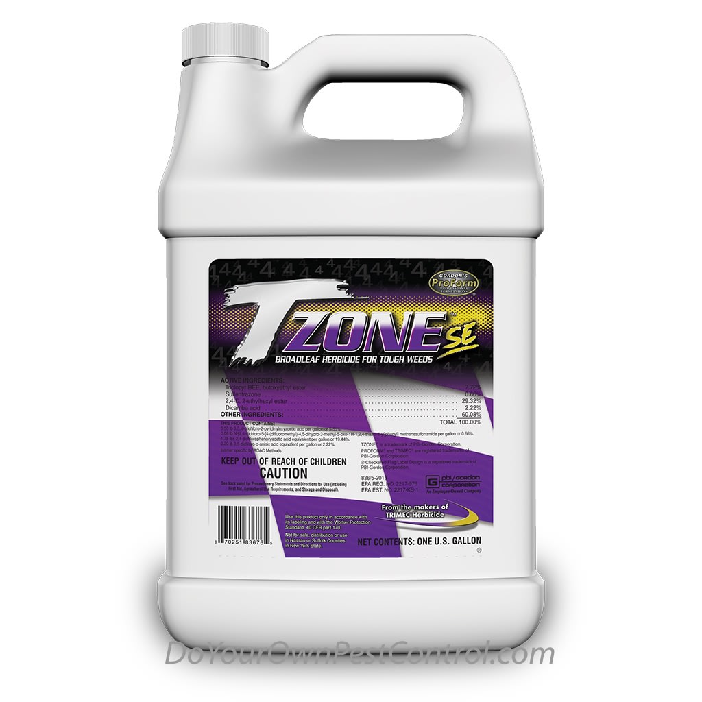 T-Zone SE