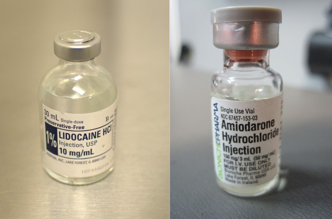 Sumber: Intropin, Wikimedia commons, 2010; JL Johnson, Wikimedia commons, 2011.