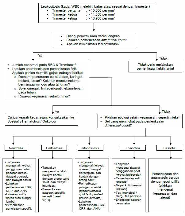 Sumber: dr. Novita, 2019.