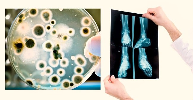 Depositphotos_19679985_m-2015_compressed