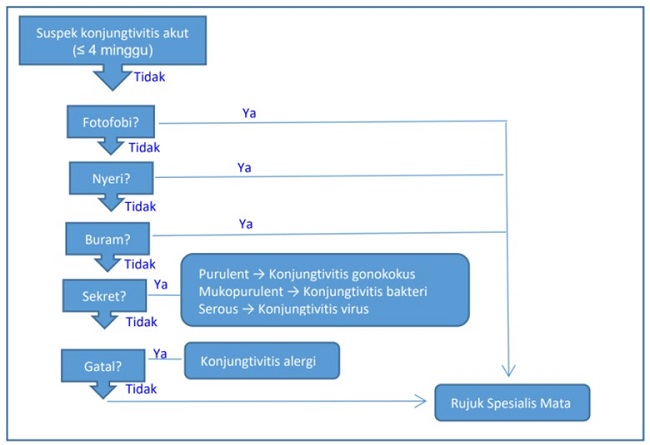 Picture1 cme skp konjungtivitis