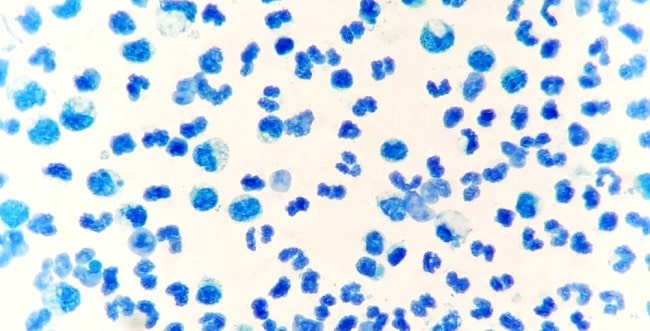 shutterstock_1323090329-min