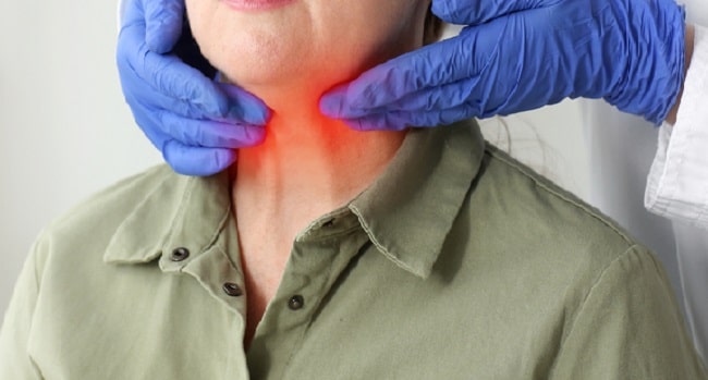 shutterstock_1728958003-min