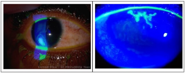 Sumber: Wikimedia Commons, 2019 dan Wikimedia Commons, 2017.