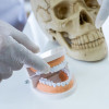 Peran Dokter Gigi dalam Ilmu Forensik