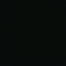 dr.Shandra Lupita T.