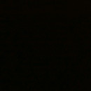 dr.Annisah Nurdwita Ashari