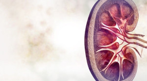 Diagnosis Gagal Ginjal Akut dengan Menggunakan Kidney Injury Molecule (KIM)-1