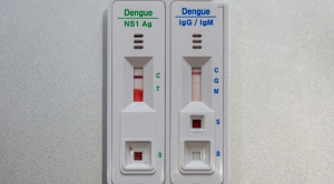 Pemeriksaan NS1 vs IgM-IgG untuk Diagnosis Dengue