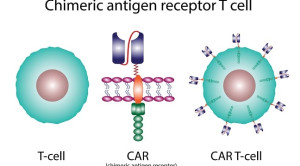 Imunoterapi Kanker dengan Chimeric Antigen Receptor Sel T