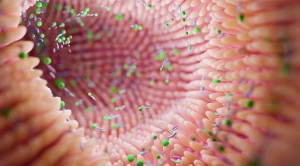 Gut Health Menunjang Tumbuh Kembang Anak