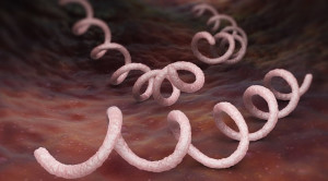 Efek Jangka Panjang Sifilis Kongenital