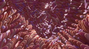 Transplantasi Flora Usus Ibu pada Bayi Baru Lahir Pasca Caesar Elektif