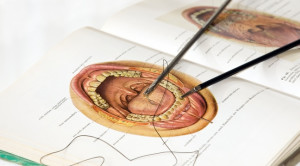 Hecting V Konservatif: Tata Laksana Laserasi Lidah