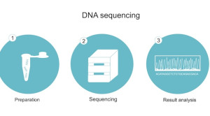 Next Generation Sequencing (NGS) sebagai Evolusi - Transformasi Diagnosis Prenatal